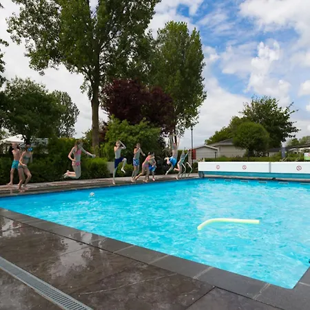 Modern In With Garden