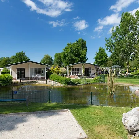 Modern In With Garden *