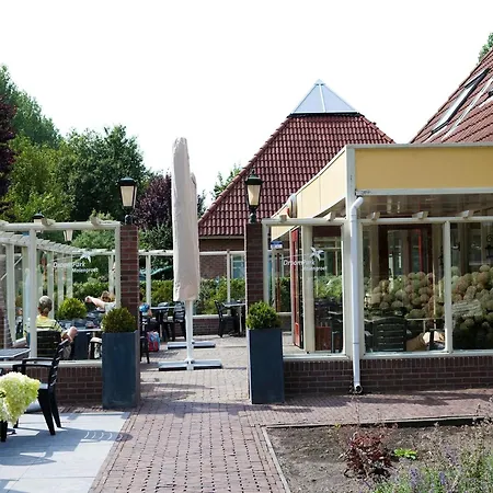 Modern In With Garden 诺德施华伍德