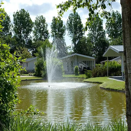 Modern In With Garden