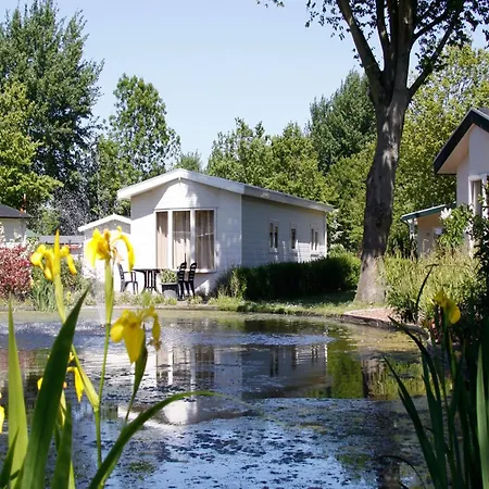 Modern In With Garden Chalet *