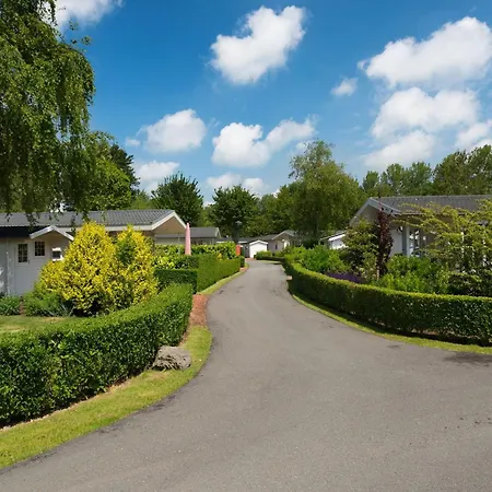Modern In With Garden